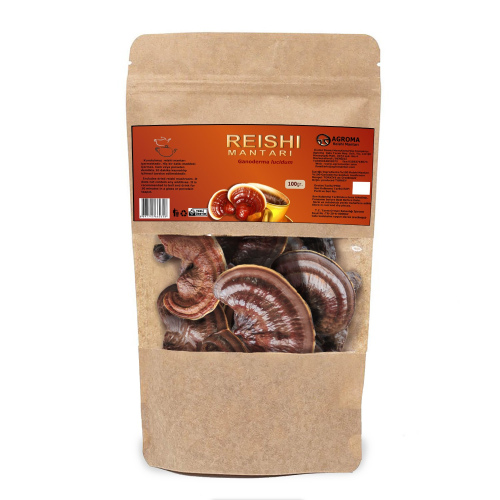 Natural Reishi mantarı (Ganoderma lucidum)